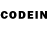 Псилоцибиновые грибы GOLDEN TEACHER Gdg Dyy
